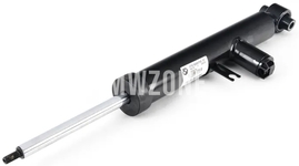 Rear shock absorber F32 (adaptive M chassis)