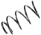 Front suspension spring (sport chassis)
