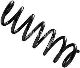 Rear suspension spring 369mm (adaptive chassis)